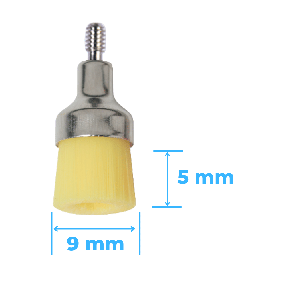 Prophylaxe Bürsten Screw In PP-X-268-1_1