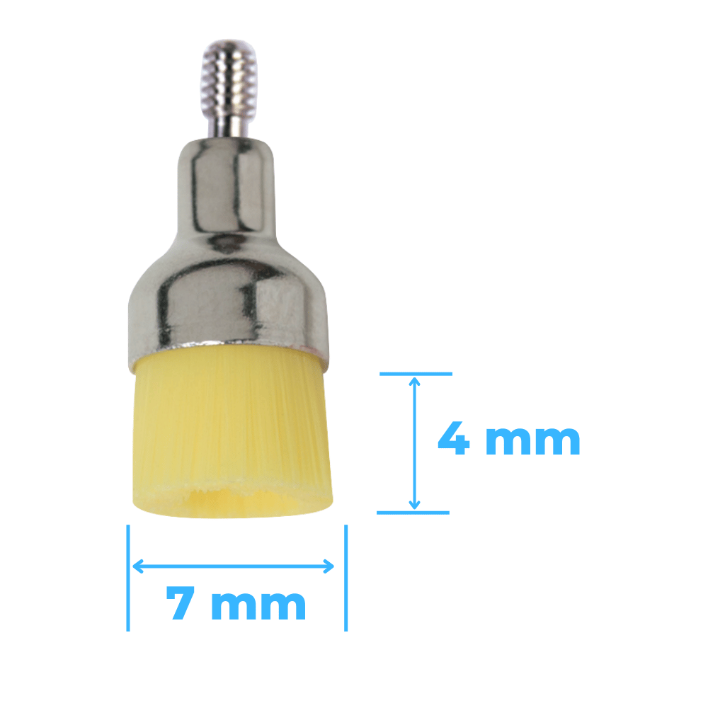 Prophylaxe Bürsten Screw-In