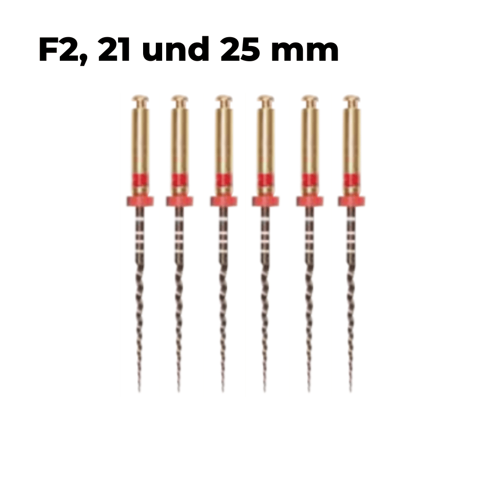 Wurzelkanalinstrument Super Feilen NiTi gold-PP-E01-F2