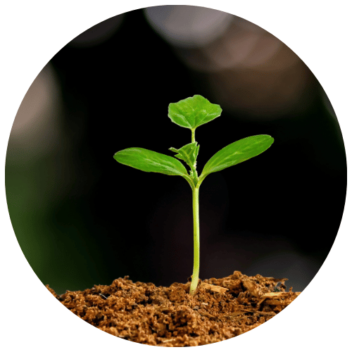 PIXEL.clima PIXEL.dental Shop