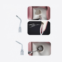 Altaqi Kit- Piezo-Endochirurgie für das WOODPECKER®-System zur Piezo-Knochenchirurgie