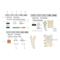 ENDORADAR Woodpecker dental Apex Locator mit Endomotor Display