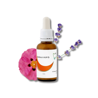 Zahnfleisch WUP-Öl 30ml