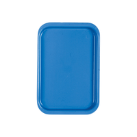 Autoklavierbares Kunststoff Tray flach mini  PP-652_1