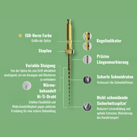 E-Flex Wurzelkanalinstrument NiTi