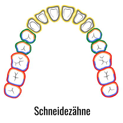 Gracey Küretten Set mini 7 Colour Dental Instrumente_RC-7001-HFM_5