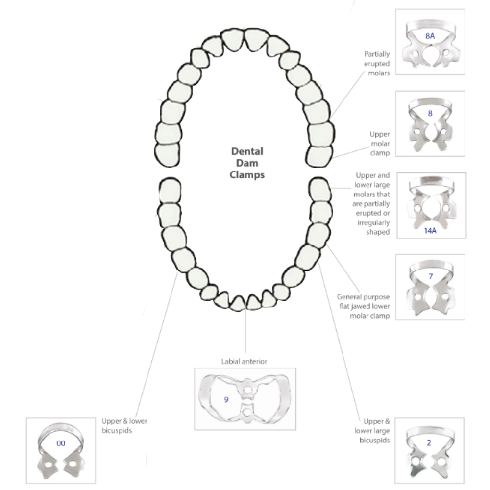 Kofferdam Komplett Kit Latexfrei/Latex PE-004-0042-40_3