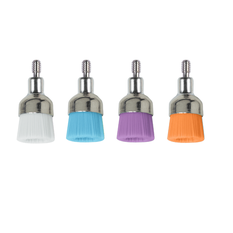 Prophylaxe Bürsten Screw-In 