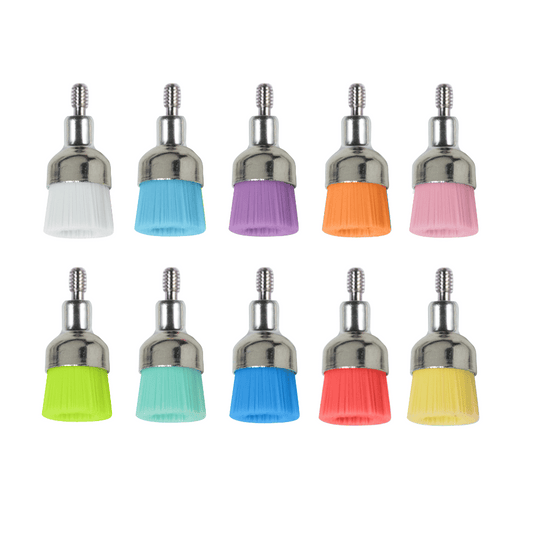 Prophylaxe Bürsten Screw-In PP-R-269