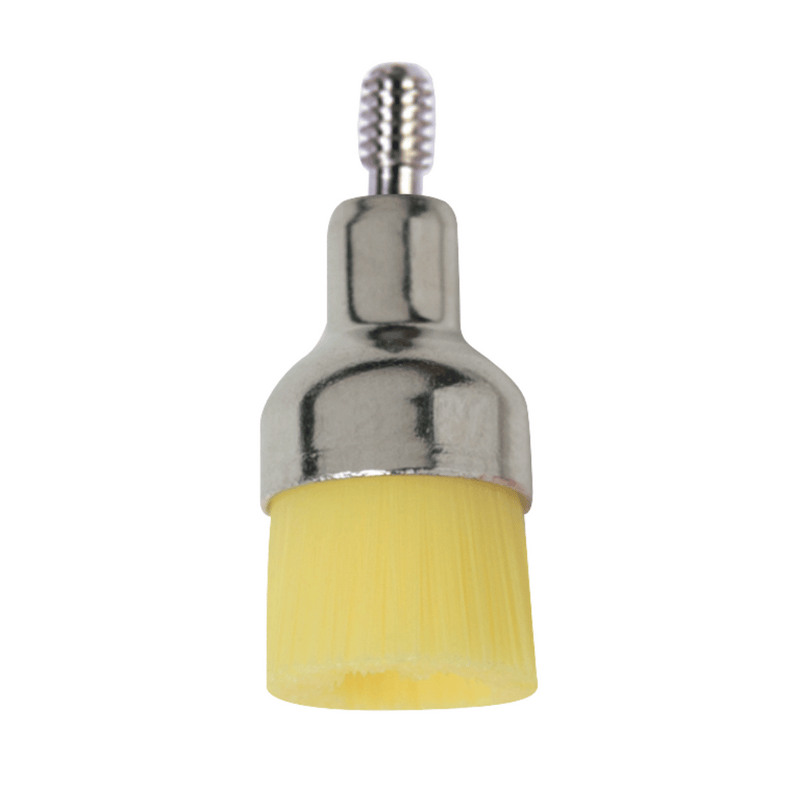 Prophylaxe Bürsten Screw-In 