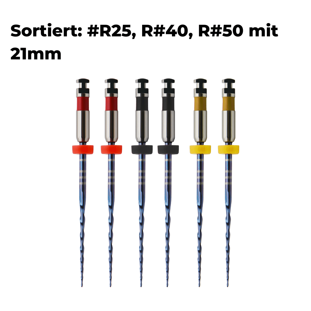 Wurzelkanalinstrumente One Files Silver E6_10