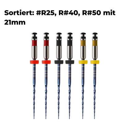 Wurzelkanalinstrumente One Files Silver E6_10