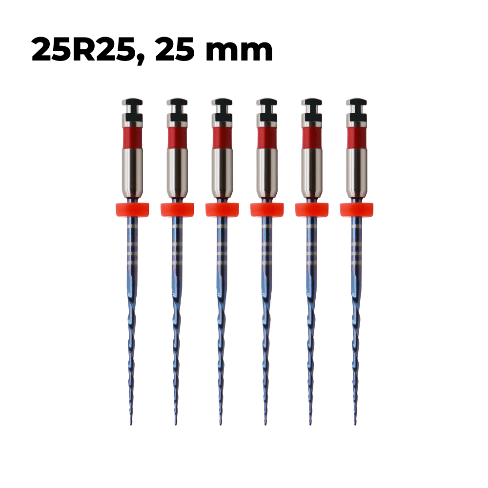 Wurzelkanalinstrumente One Files Silver E6_5