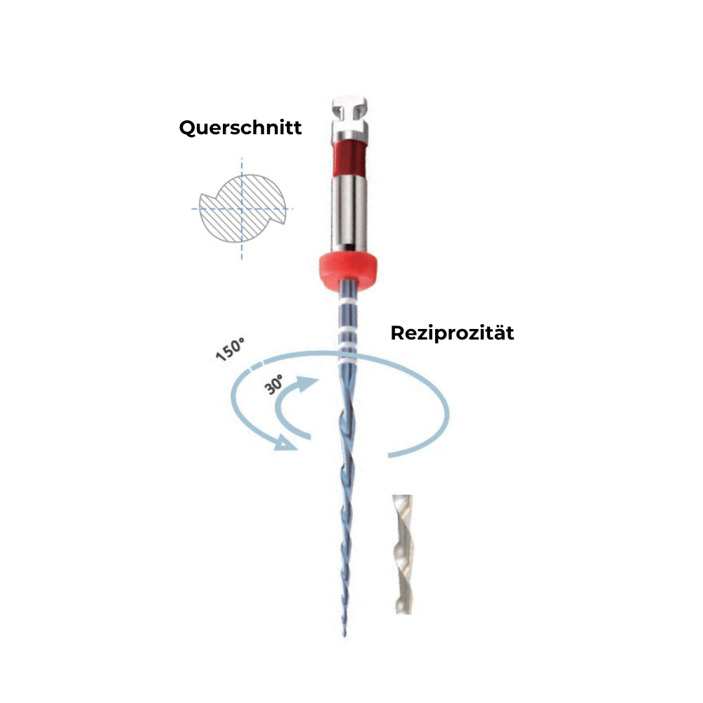 Wurzelkanainstrument One-Files PP-E05_2