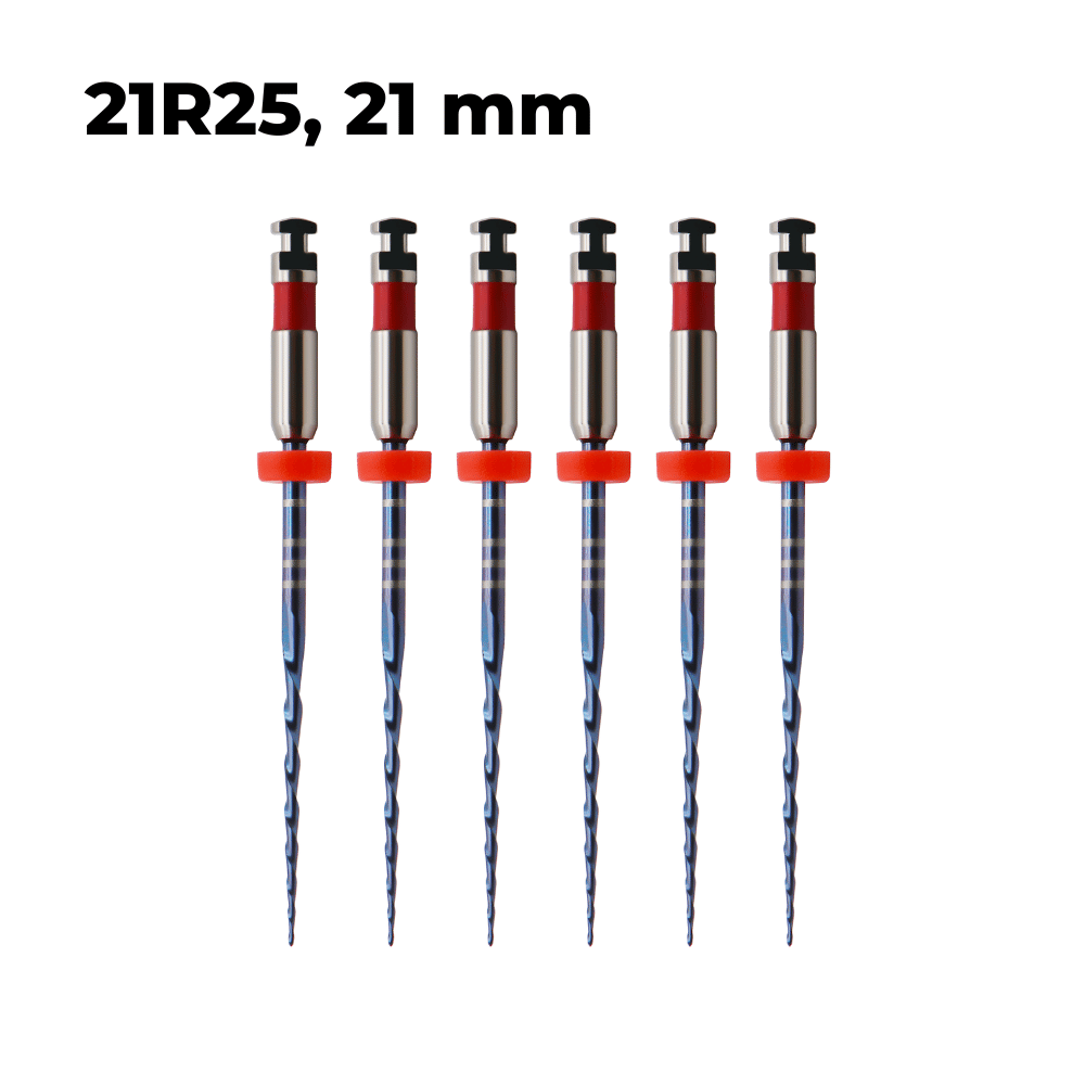 Wurzelkanalinstrumente One Files Silver E6_4