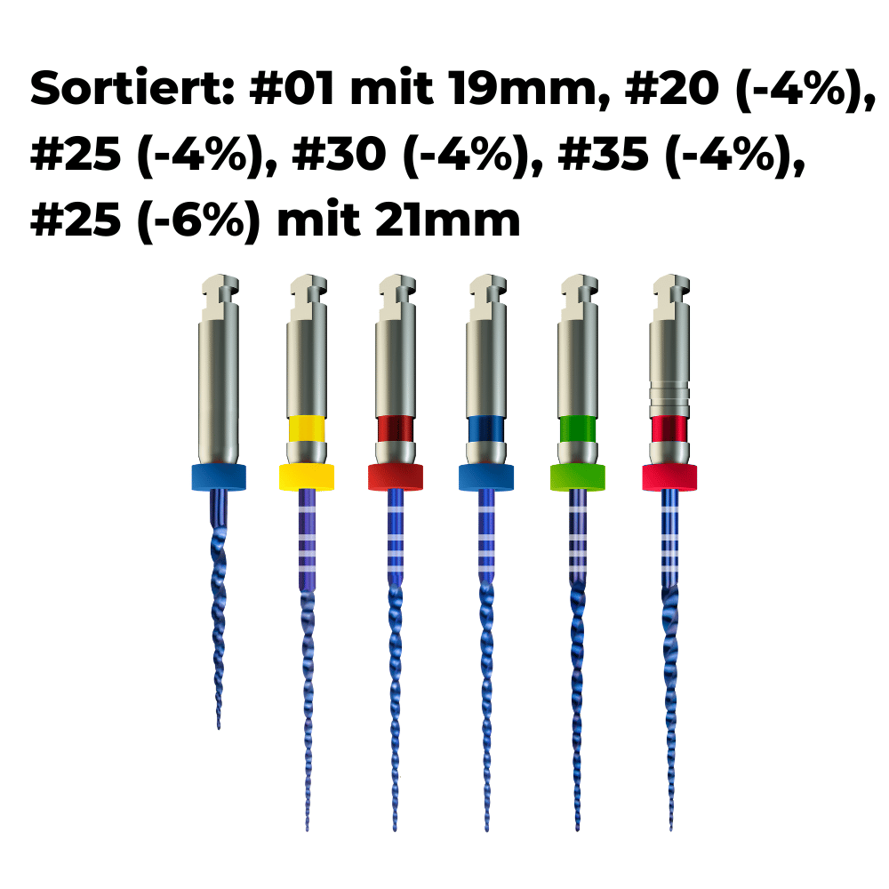 Wurzelkanalinstrument Pro-Flexi Feilen PP-E03_10