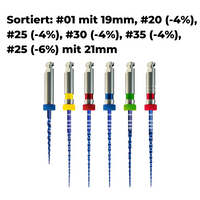 Wurzelkanalinstrument Pro-Flexi Feilen PP-E03_10