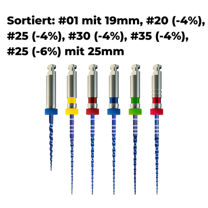 Wurzelkanalinstrument Pro-Flexi Feilen PP-E03_11