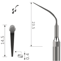 Schallspitze Perio massiver Zahnstein subgingivalem & supragingival xp-k202 2
