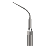Ultraschallspitze eP Gewindetyp wie EMS* Perio sub-& supragingivales Scaling XP-eP