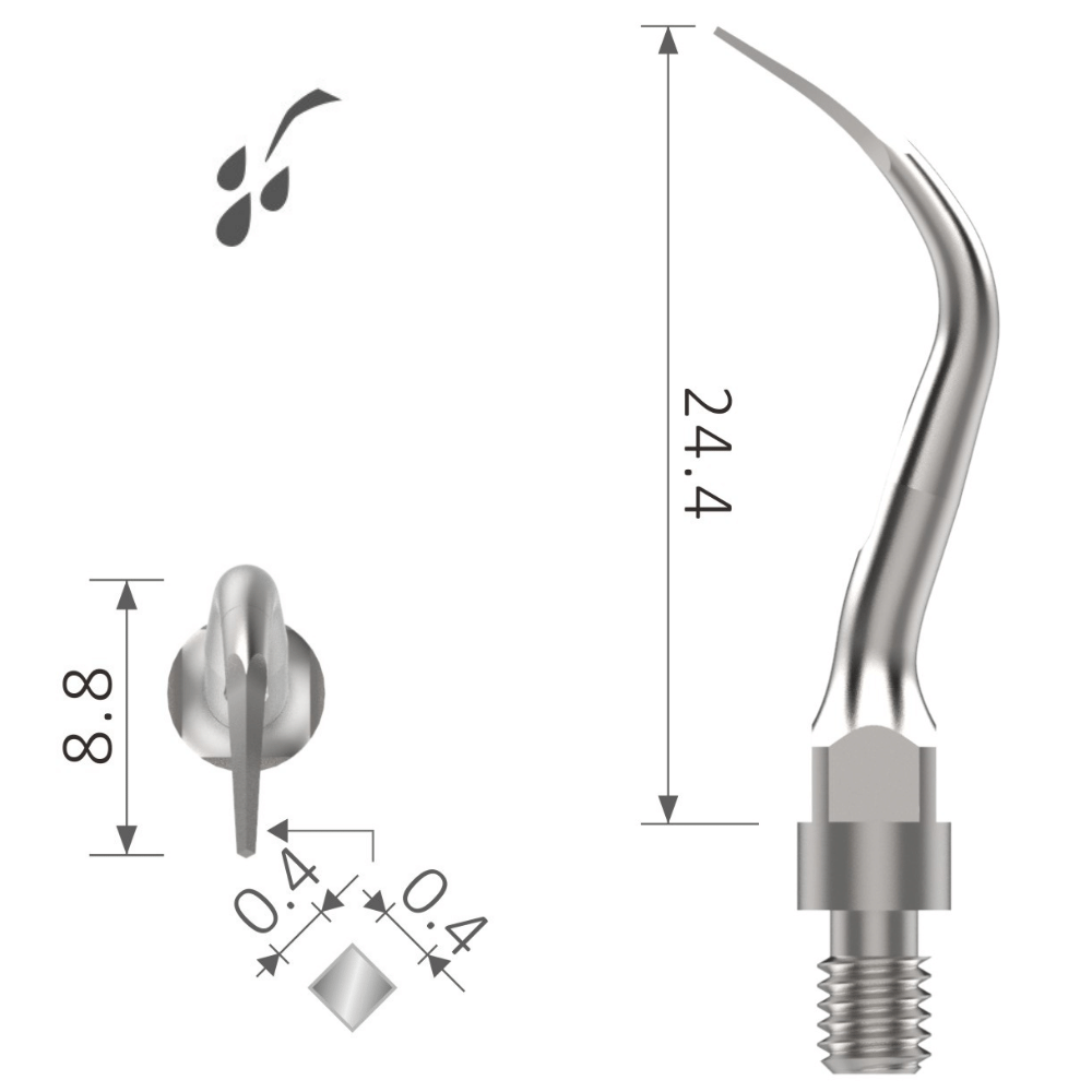 Ultraschallspitze universal Scaling xp-sr4L 2