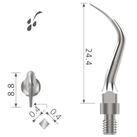 Ultraschallspitze universal Scaling xp-sr4L 2