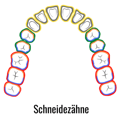 Gracey Küretten Set bukkal lingual mesial distal_RC-7001_5